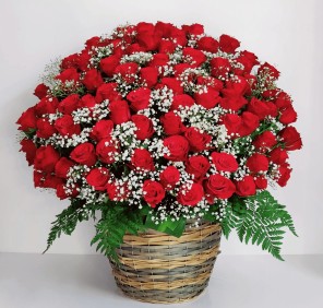 100 red roses online