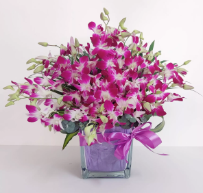 20 purple orchids
