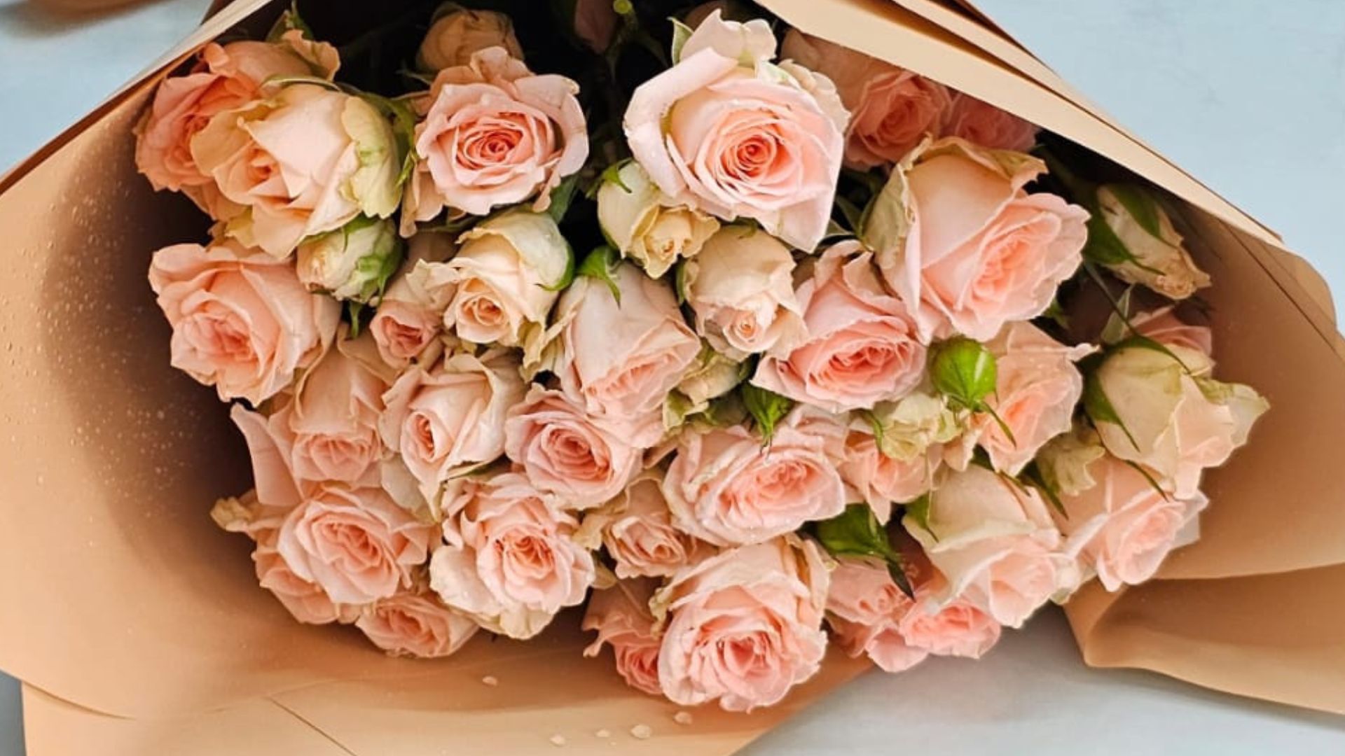how to preserve spray roses