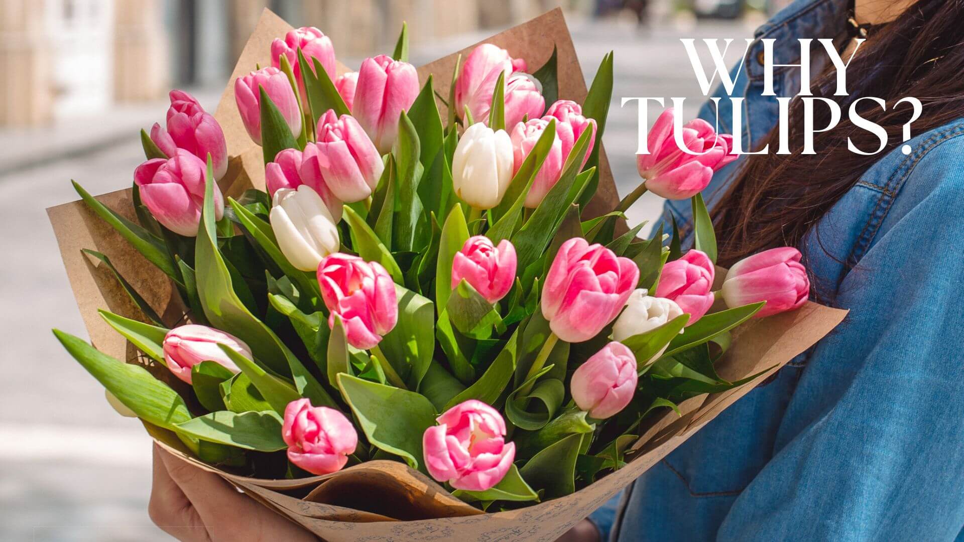 Tulip Flowers