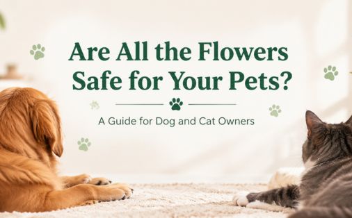 Pet Safe Flowers