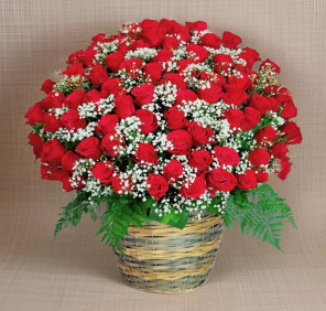 100 red roses online