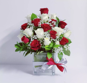 20 Red White Roses
