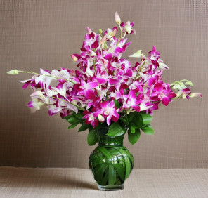 purple orchid flowers delivery in Dubai