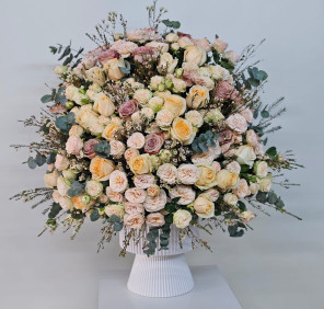 Premium Congratulations Gift