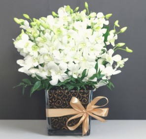 20 white orchids vase