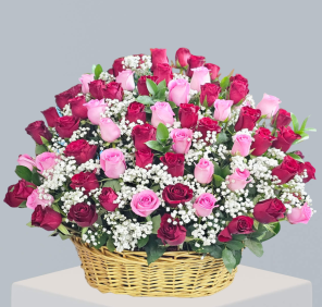 101 RED PINK ROSES