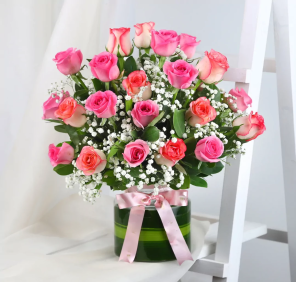 24 roses offer