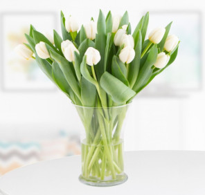 20 WHITE TULIPS VASE