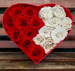 red white roses heart