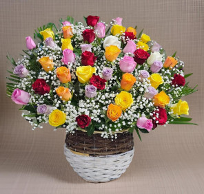 50 mix color roses