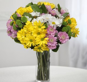 Chrysanthemum flowers