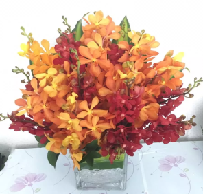 RED ORANGE ORCHIDS
