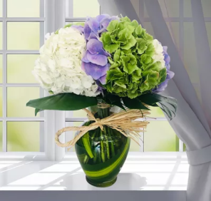 HYDRANGEA HONOR