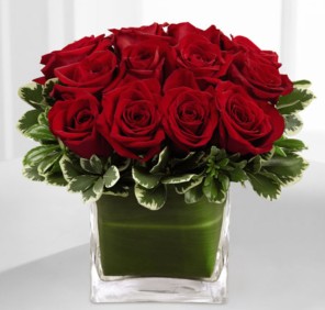 red roses vase