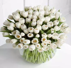 white tulips delivery Dubai