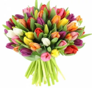 mix tulips