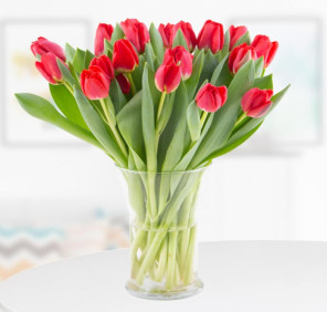 20 RED TULIPS