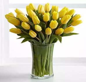 30 yellow tulips