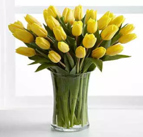 30 YELLOW TULIPS IN GLASS VASE