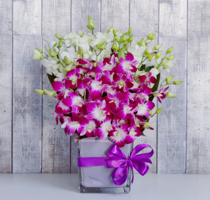 purple and white orchids