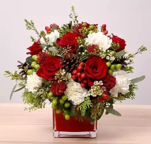 Christmas flower gift